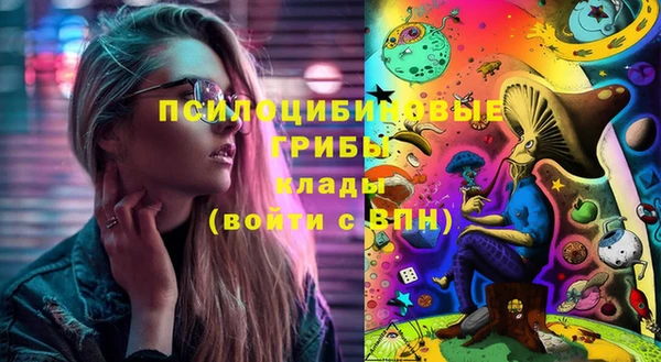 СК Богданович