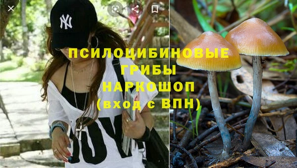 MDMA Богородск